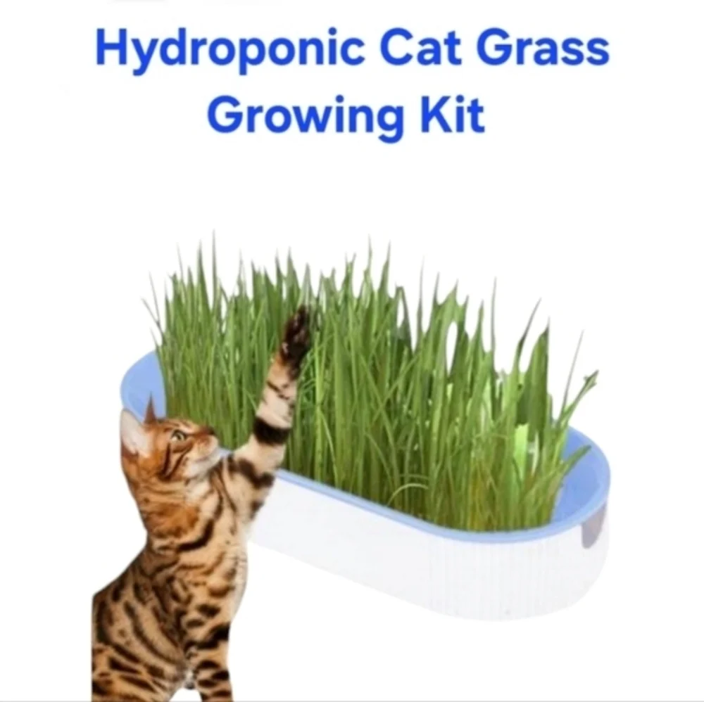 Organic Hydroponic Soil Free Cat Grass Box Cat Nip Blue and White‎ NWT